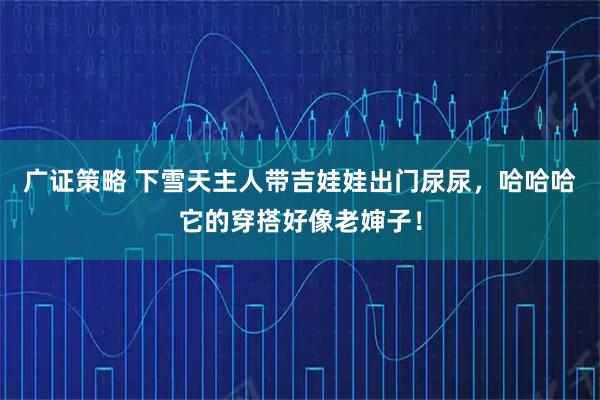 广证策略 下雪天主人带吉娃娃出门尿尿，哈哈哈它的穿搭好像老婶子！